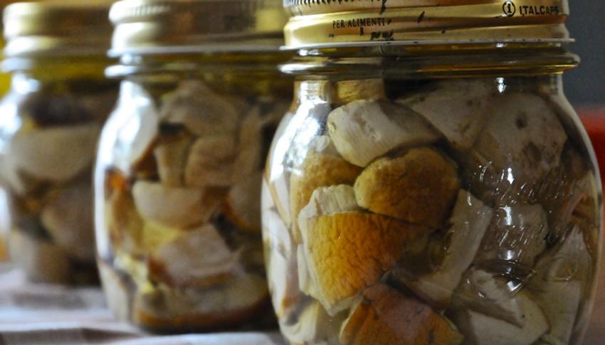 boletus-en-aceite