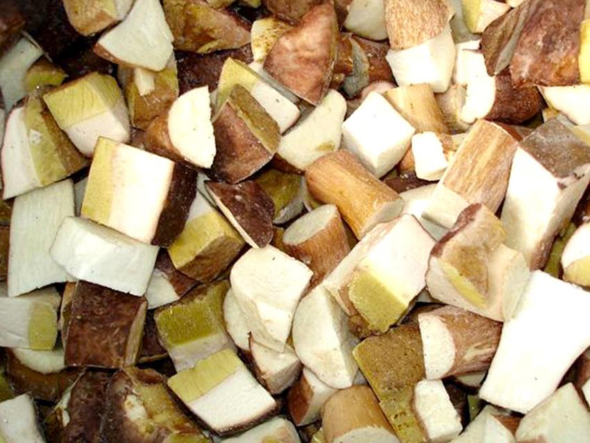 congelar-boletus2
