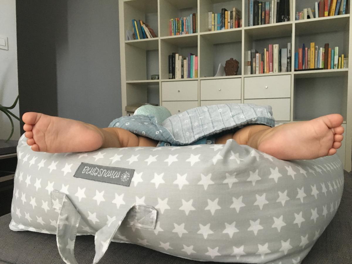 Ollie durmiendo en el nido