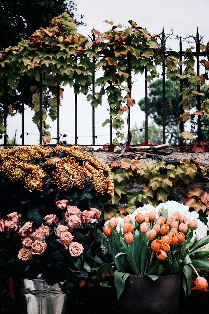 instalación-floral-gran-formato-flores-seleccion-MariaAlgaraPhotography-desayuno