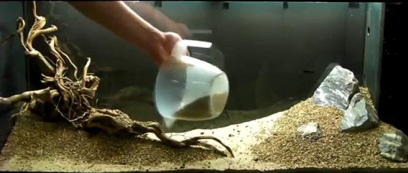 aquascaping, elabora un proyecto previo