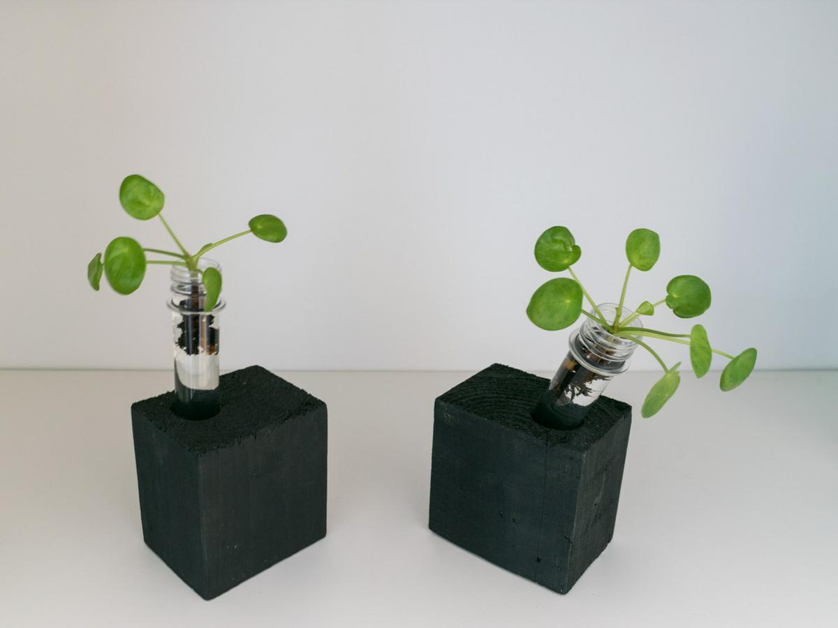 Jarrones individuales con tubos de ensayo anchos