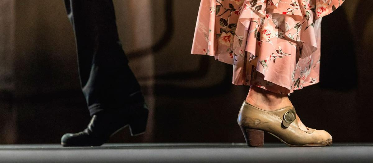 bailaores de flamenco