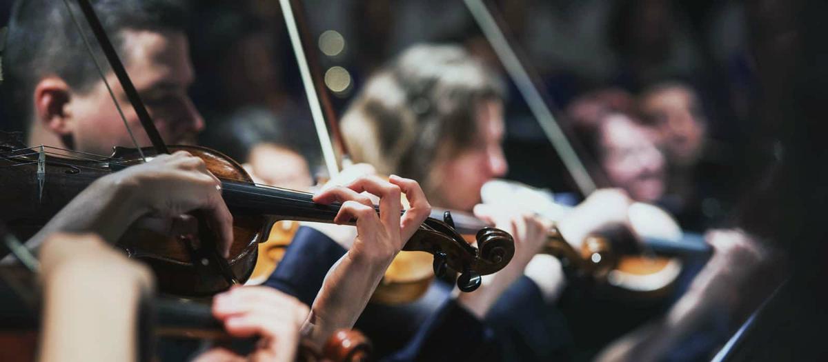 sección de violines orquesta sinfonica