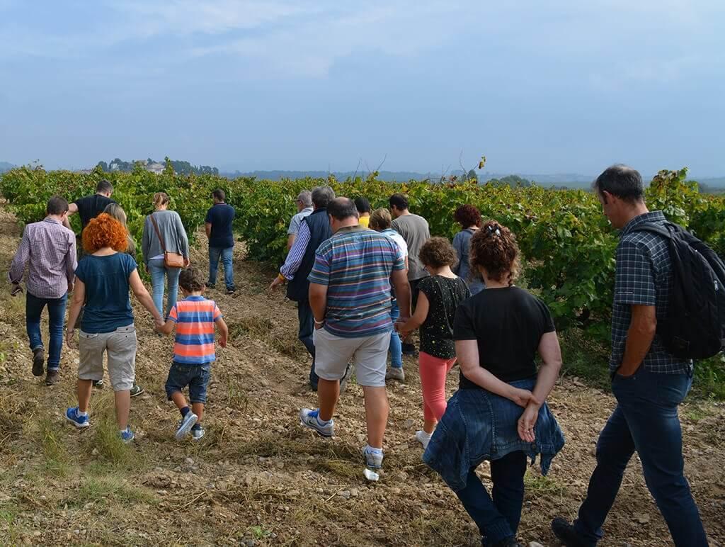 Mecenas del proyecto Crowd Wine visitando el viñedo Cal Escalló en la región del Penedés