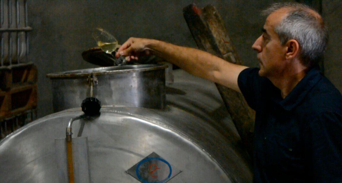 Cata in situ del vino blanco monovarietal Macabeo Crowd Wine