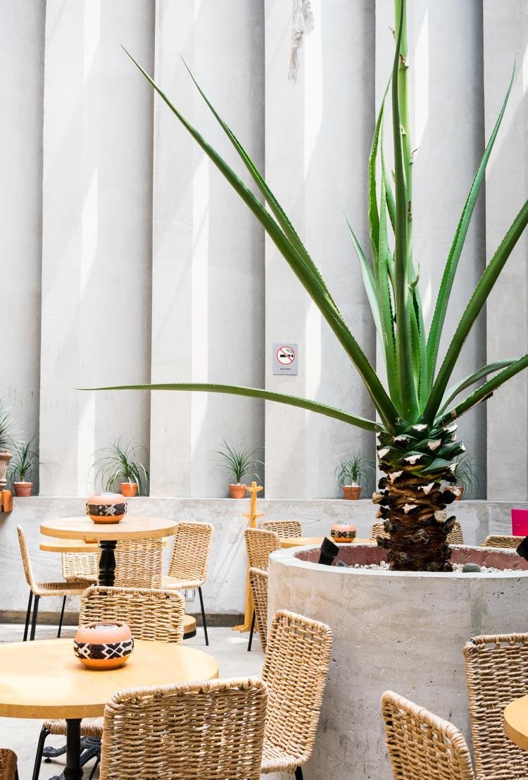 Rufino Gastrobar, bar de cocteleria y cocina mexicana en la cdmx