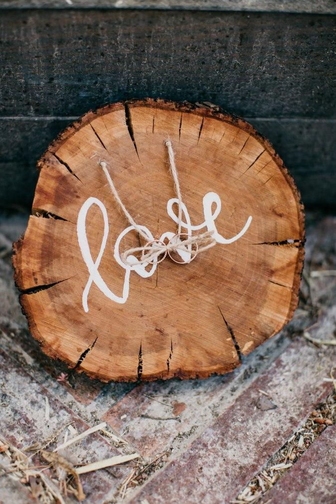 boda anna luisvi palas pineda wedding