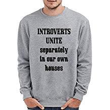 sudadera introvertido