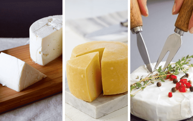 Beneficios y propiedades del queso