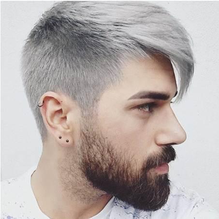 Color pelo gris hombre