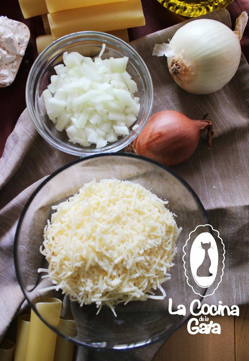 Queso y cebolla picada