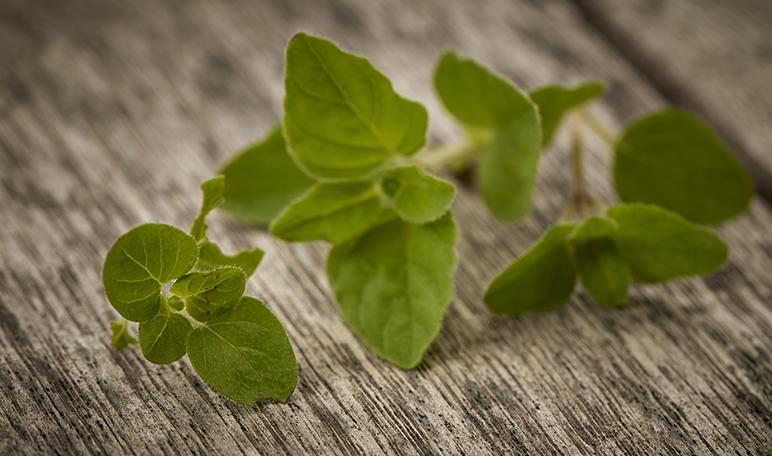 Cómo eliminar los hongos en los pies con remedios naturales - ¡Siéntete Guapa!