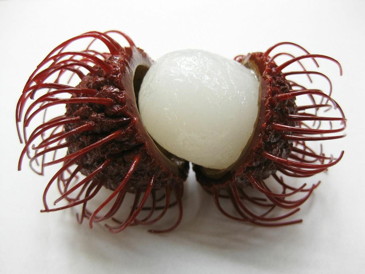rambutan fruta exotica