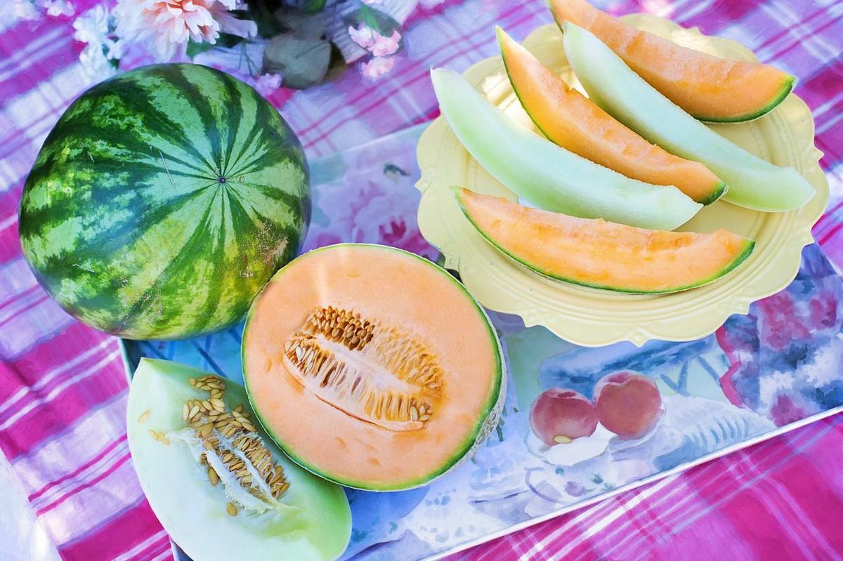 melon fruta del verano