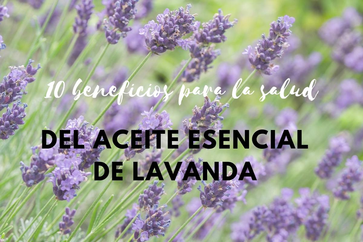 aceite esencial de lavanda-10 beneficios