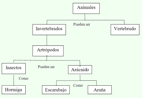 mapa conceptual jerrarquizado