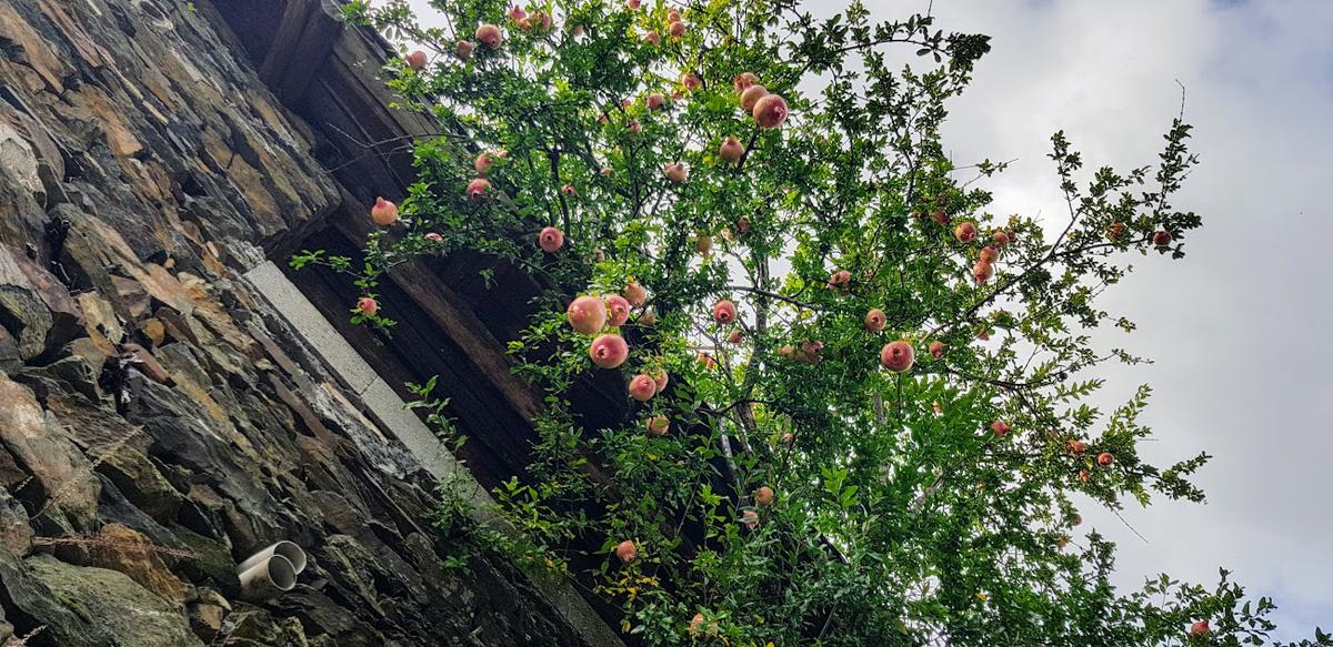 Aldea de Froxán. Vilamor. Serra do Courel.