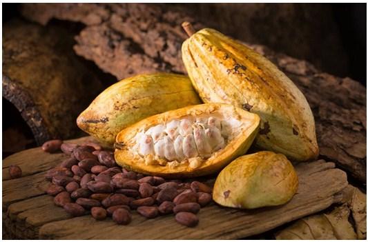 Ventajas del cacao para ganar masa muscular