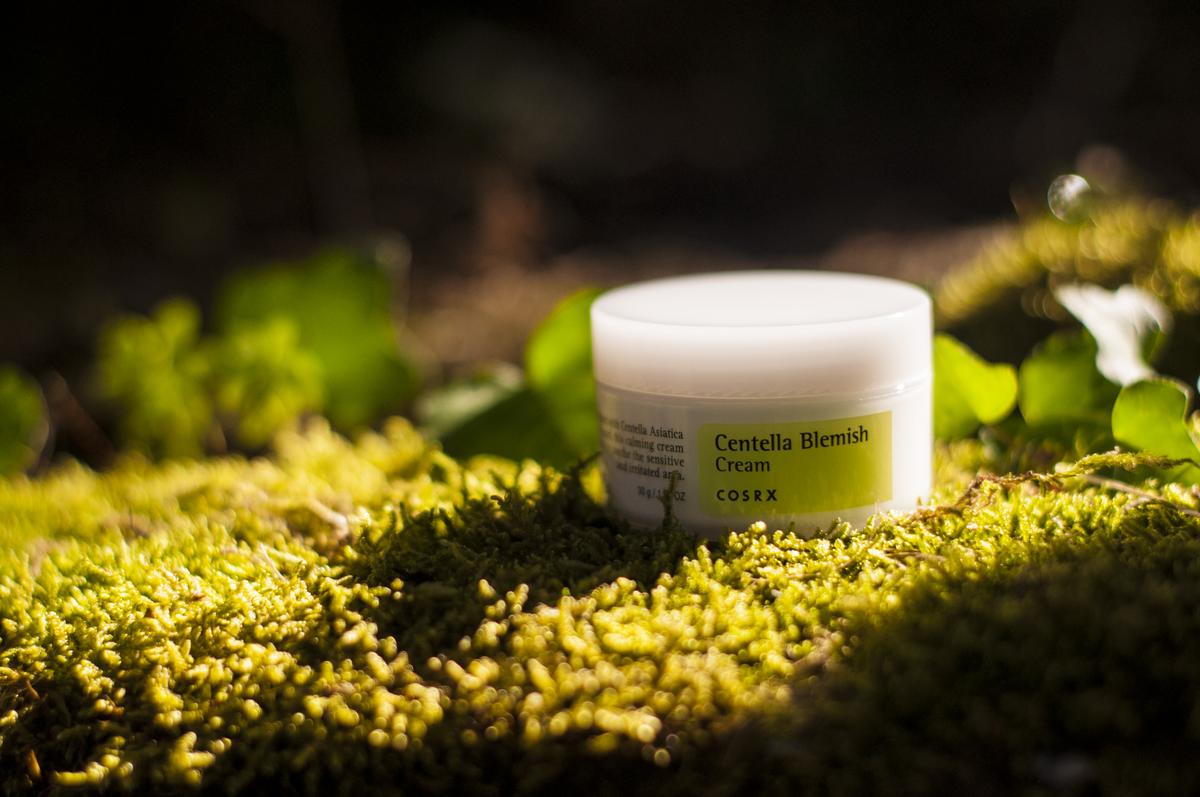 Centella asiatica Blueberry Cosmetics COSRX Centella Blemish Cream
