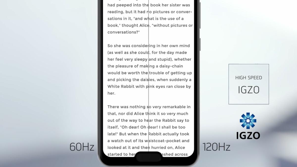 Sharp Aquos R2 Compact - IGZO