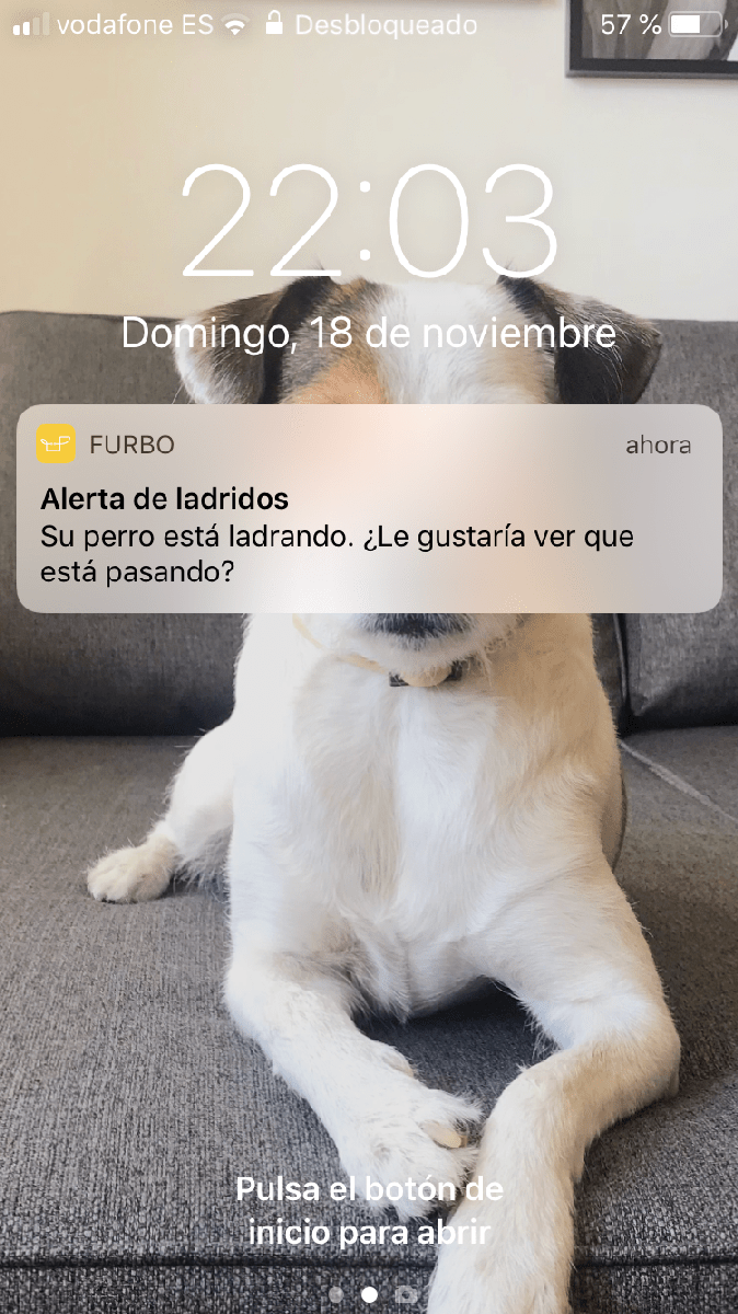 alerta-de-ladridos-furbodog