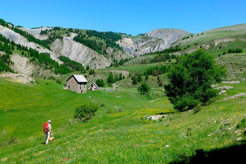 17SENDERUELA-la-casa-de-las-setas