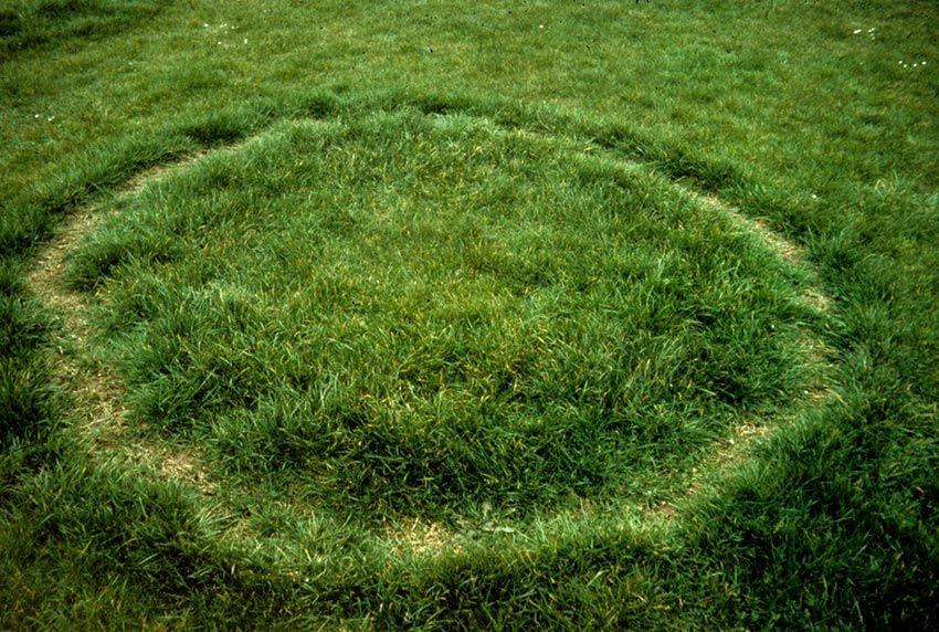 07SENDERUELA-la-casa-de-las-setas