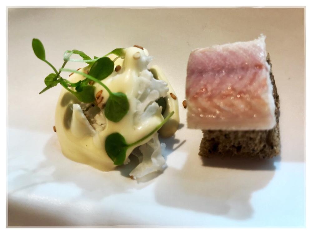 Dominación de Emociones. MEDEA