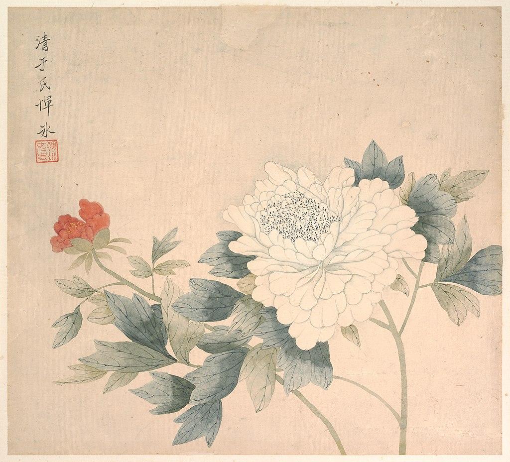 Flower Study By Yun Bing (), Metropolitan Museum of Art