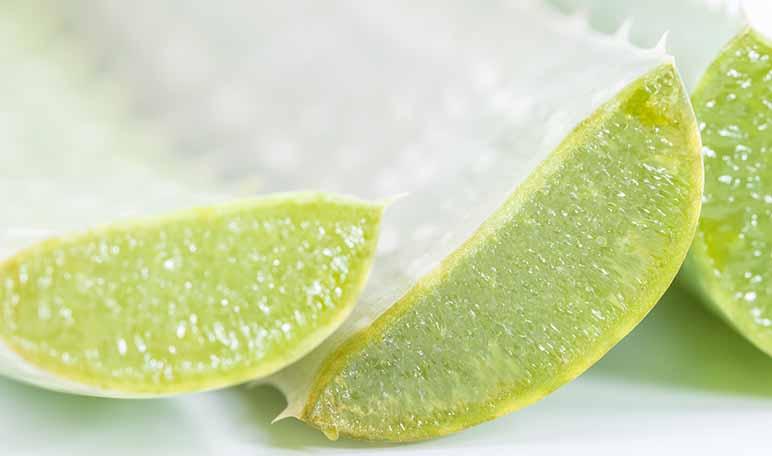 9 propiedades del aloe vera - Apréndete
