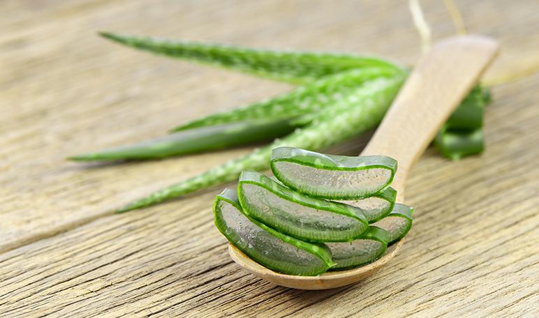 9 propiedades del aloe vera - Apréndete