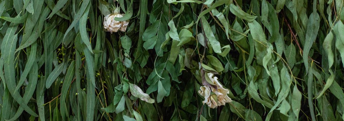 Colección joyas Nature de Laura Murcia - Bodasconestilo Comunicación