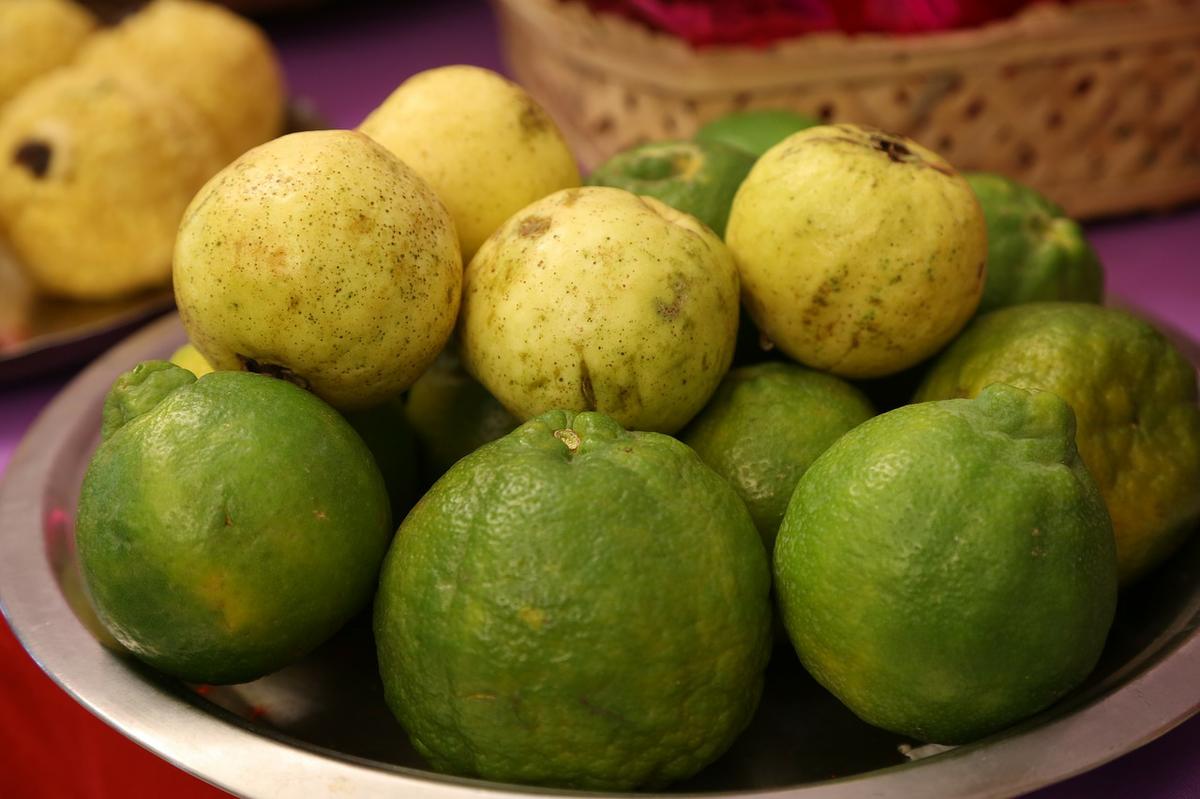 imagen de la fruta tropical de la guayba