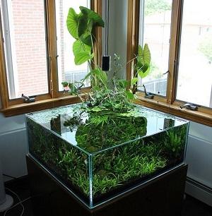 como calcular los litros de un acuario cuadrado