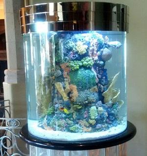 como calcular los litros de un acuario cilíndrico