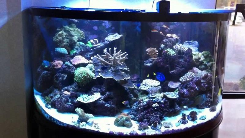 como calcular los litros de un acuario semicircular