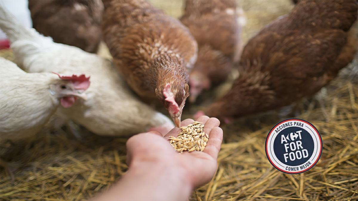 Comida sana y natural