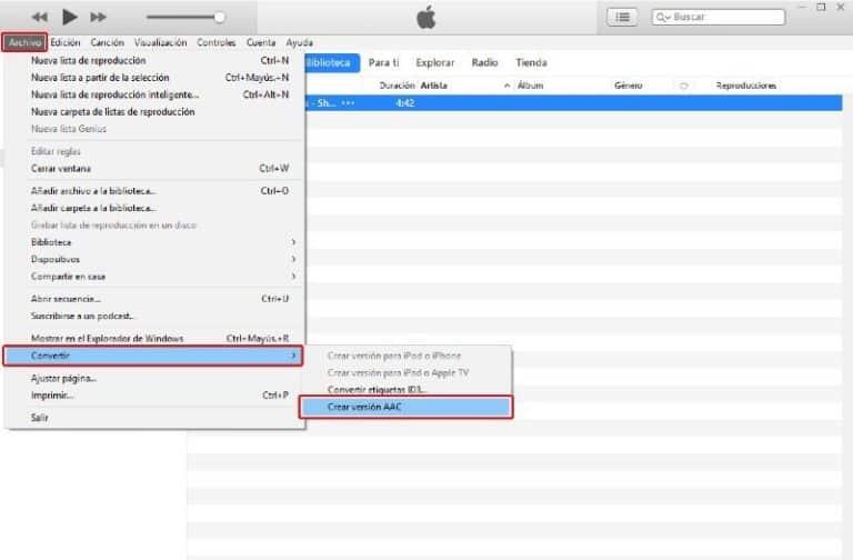 Paso 3. Formato AAC