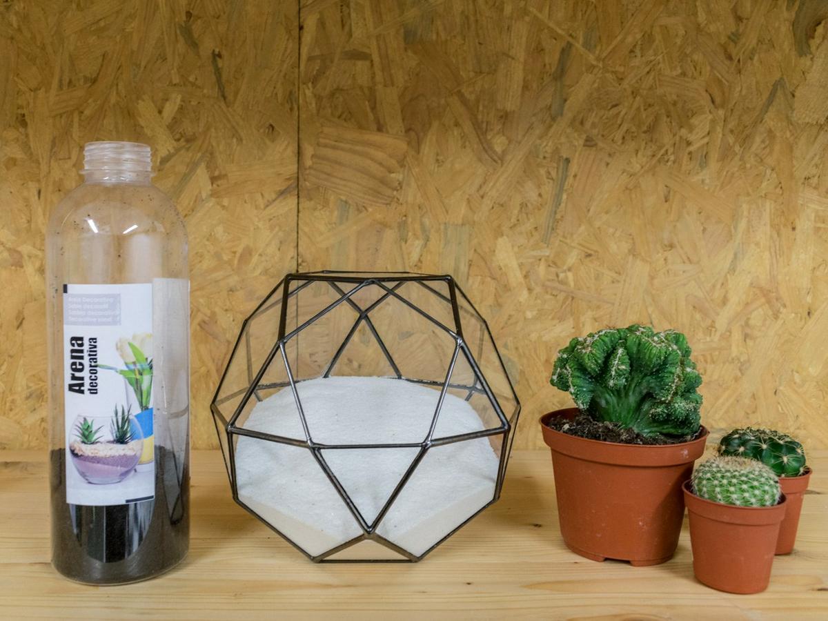 decorar con cactus un terrario