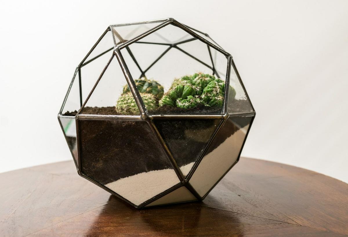 decorar con cactus un terrario - resultado