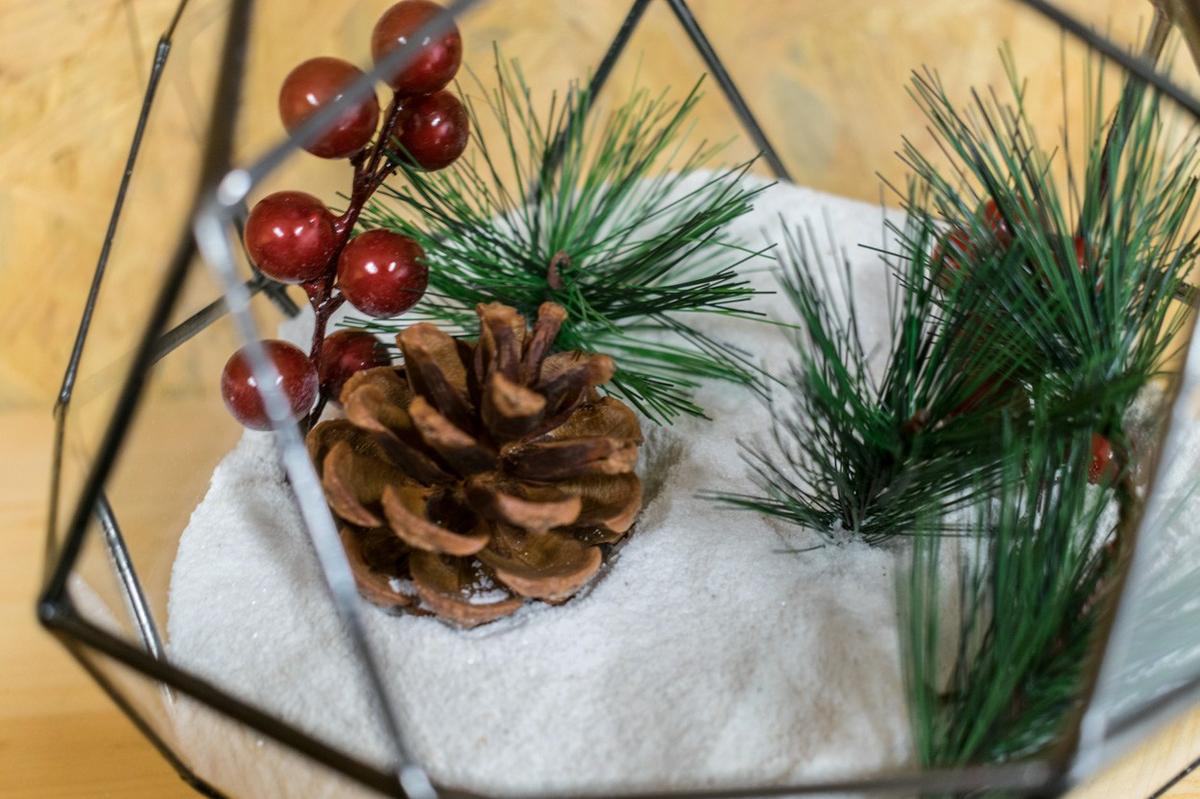 decorar con un terrario