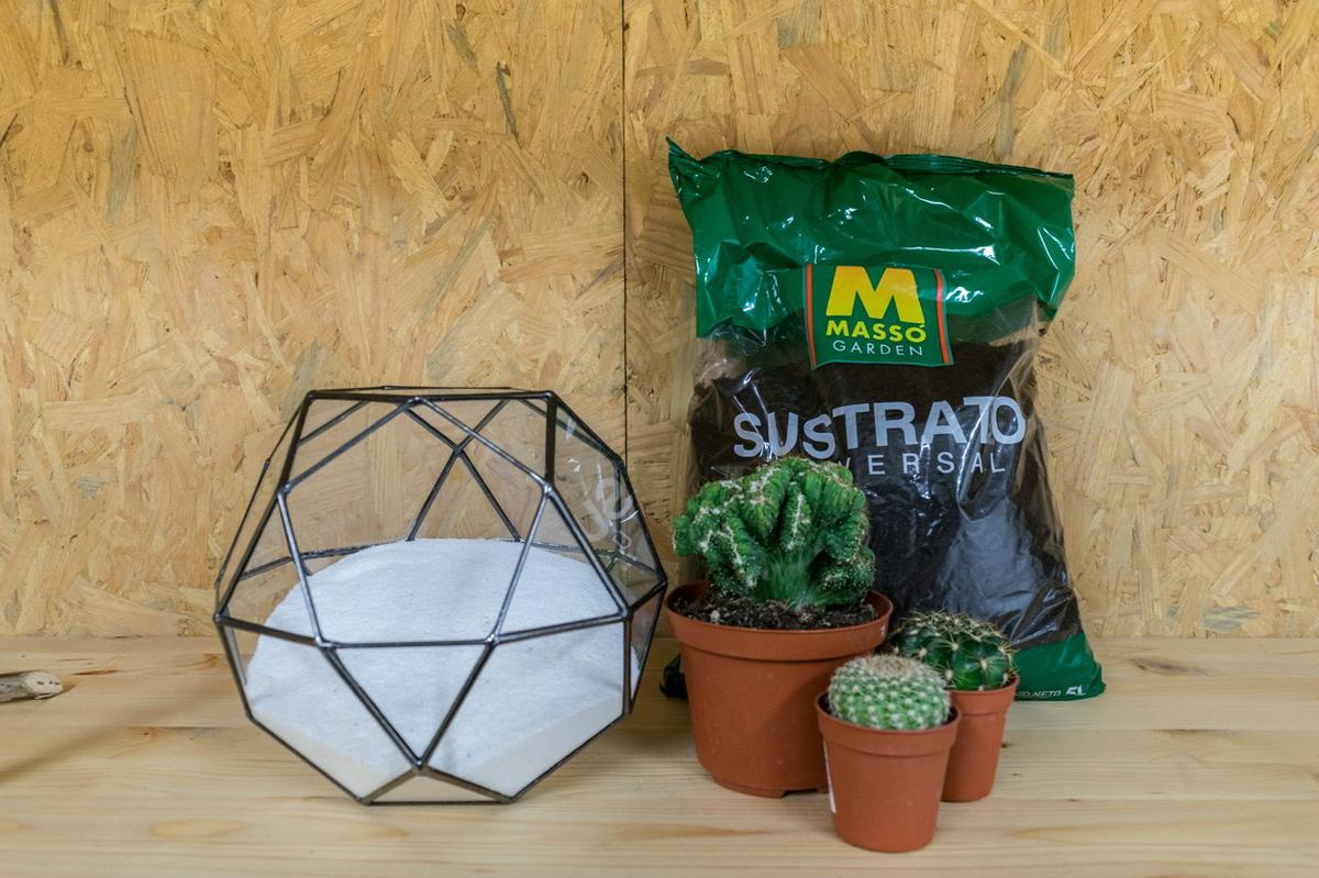decorar con cactus un terrario