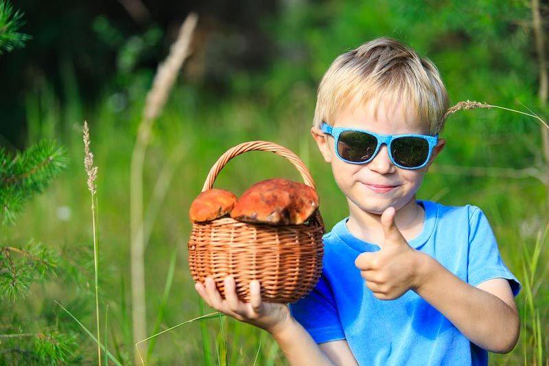 salir a buscar setas con niños - buscar setas con pequeños - la casa de las setas