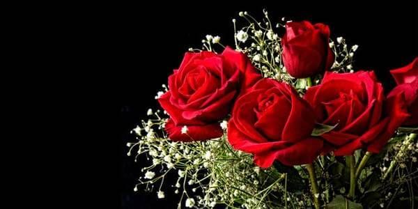 significado bodas de rosas