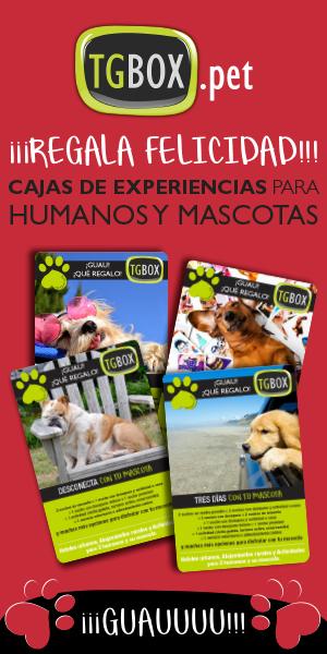 TGBOX-pet