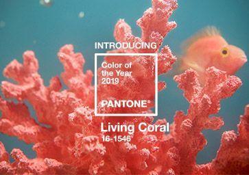 Pantone color of the year Living Coral