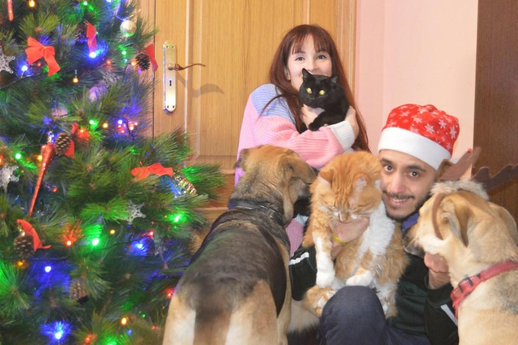 Flequillo-new-outfit-luz-tiene-un-blog-Navidad-2018