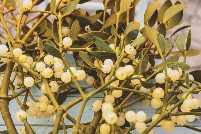 decoracion de navidad con muerdago