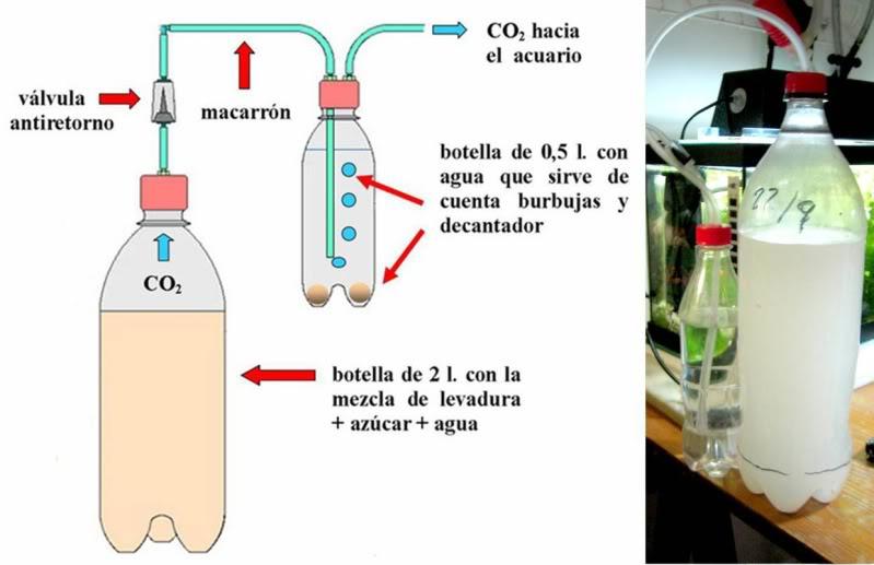 añadir co2 casero en el acuario